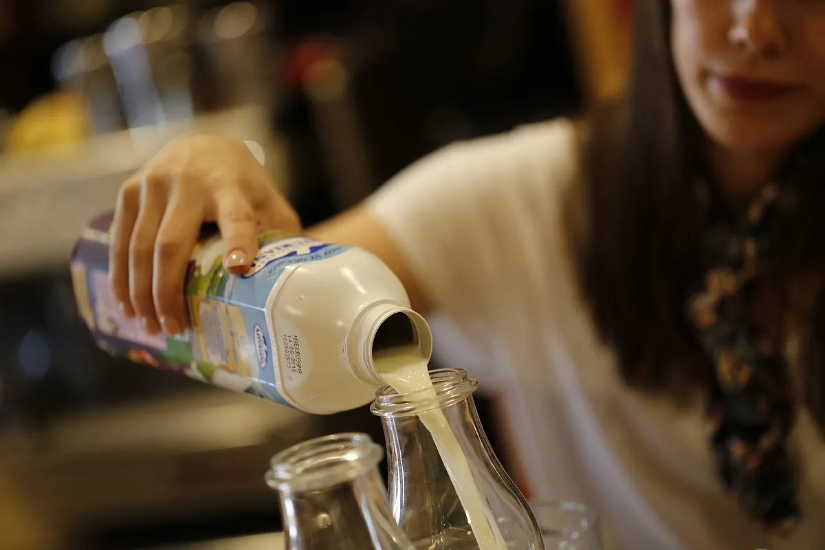 Qué comer y cómo organizar las comidas para potenciar la quema de grasa
