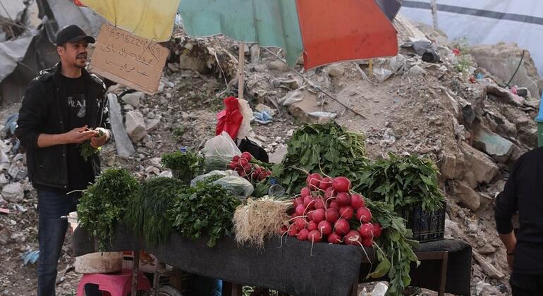 Una tregua sin paz: Gaza y Cisjordania a prueba con una nueva iniciativa diplomática