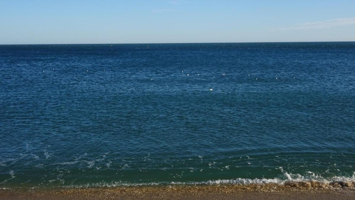 ¿Cuántas gaviotas y boyas eres capaz de ver en el mar en menos de 30 segundos?