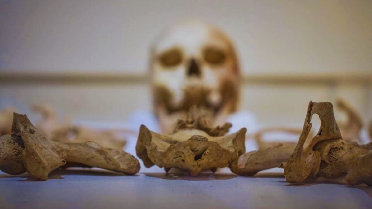 La mujer romana de Beachy Head no era quien pensábamos. Cómo el ADN antiguo cambió una de las historias más citadas de la arqueología británica