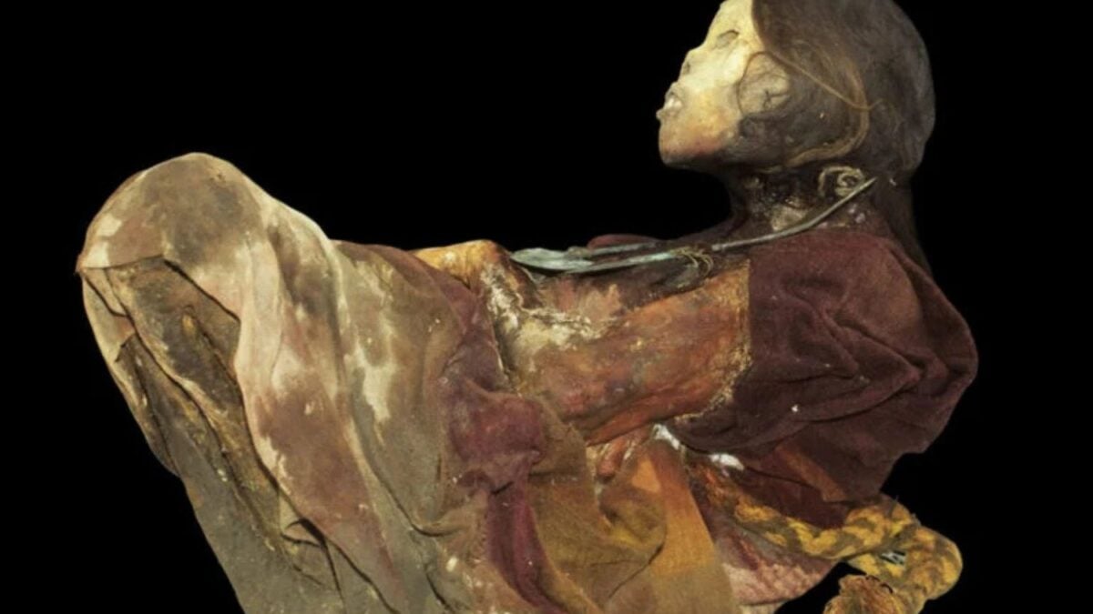 Aterradores detalles de los sacrificios de niños incas, en escaneos con tomografías computarizadas