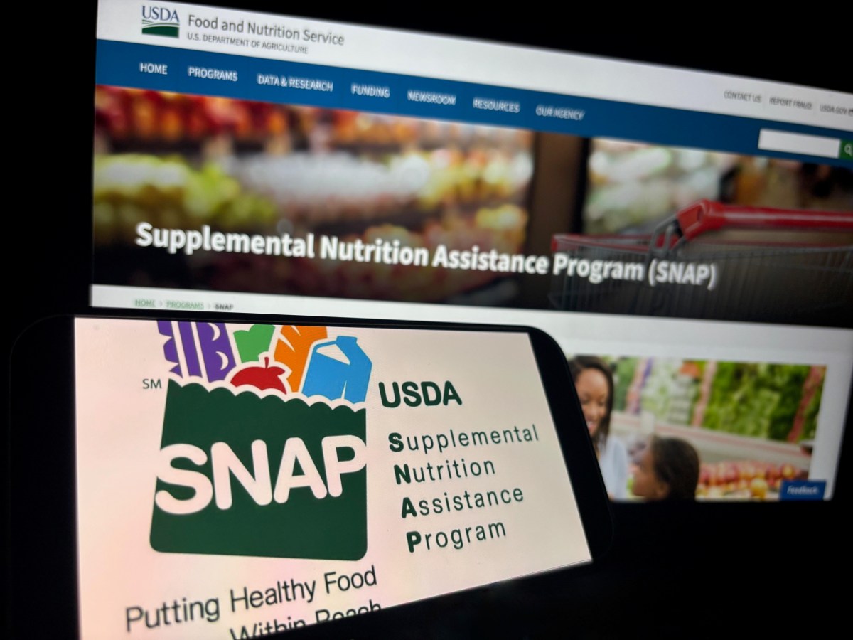 Fechas de pagos SNAP marzo 2026 por estado