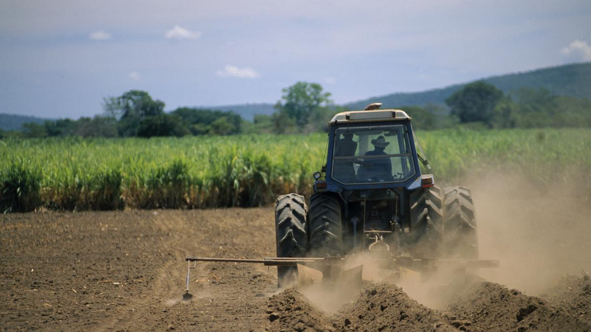 Un agricultor se harta de las malas hierbas y desarrolla un poderoso robot que acaba con ellas a golpe de láser