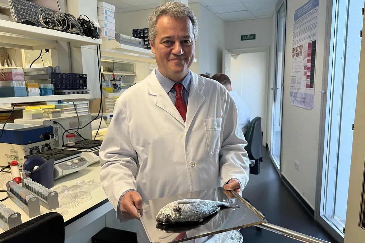 De un mercado de Granada a su ojo: desarrollan una córnea bioartificial a base de escamas de la carpa