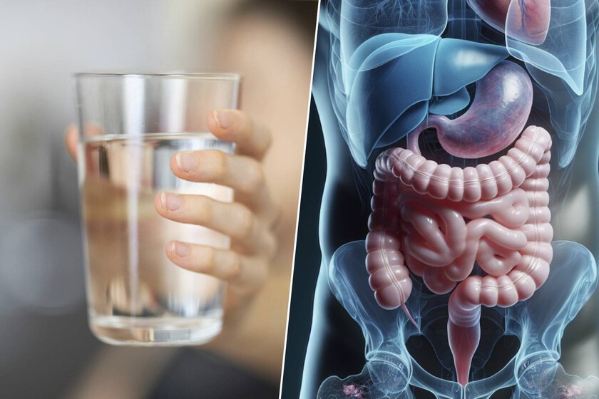 Hay gente defendiendo que beber agua es malo para la digestión porque «diluye» el ácido estomacal. No tiene ningún sentido