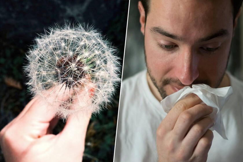 la primavera será un infierno para los alérgicos