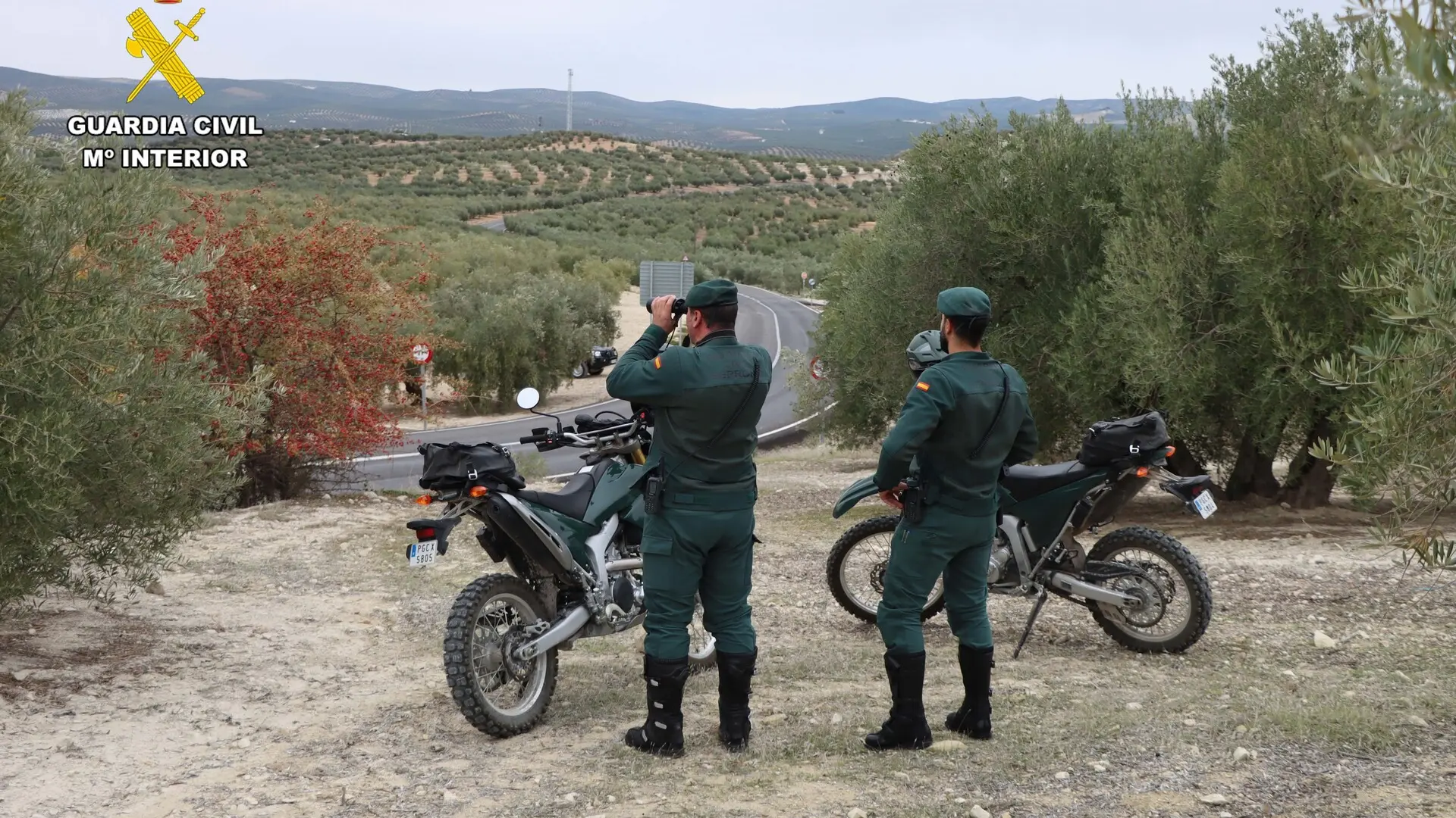 La autopsia confirma que el cadáver hallado en un campo de Lucena corresponde al joven desaparecido