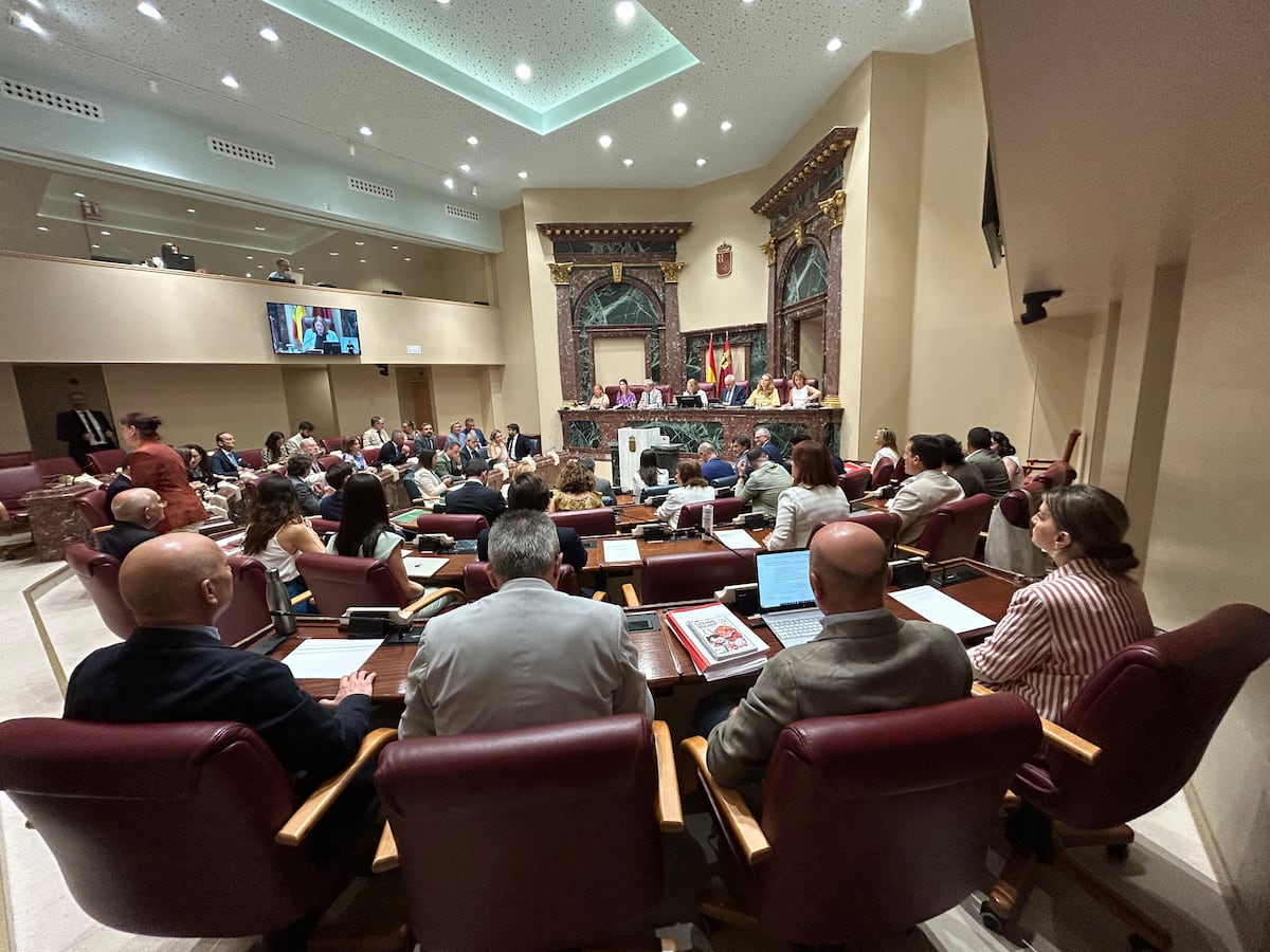 El Constitucional mantiene la suspensión de la ley murciana que abre la puerta a quitar ayudas a los sindicatos | Economía